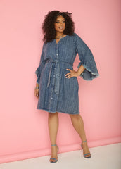 Striped Denim Shirtdress
