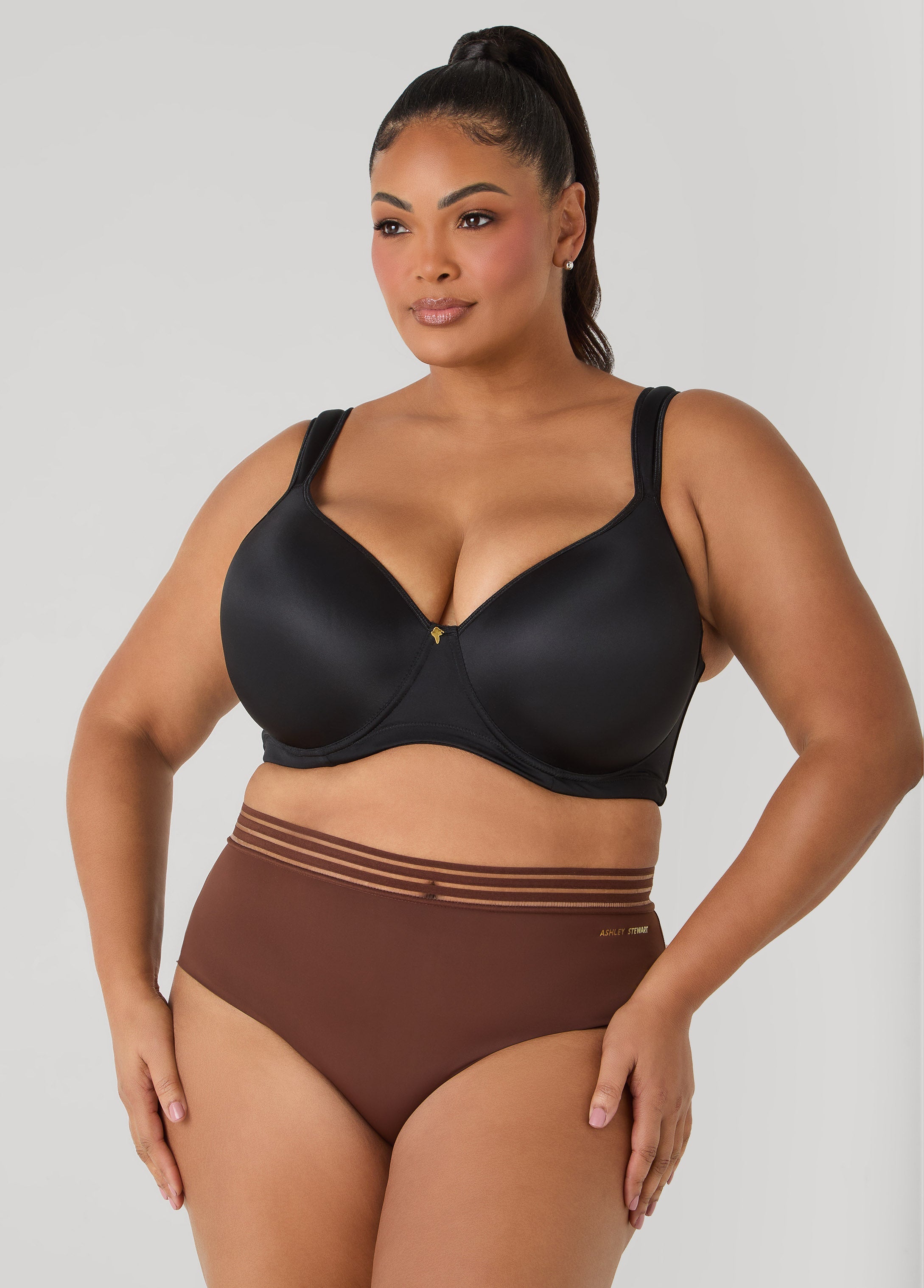 Sheer Striped Microfiber Briefs