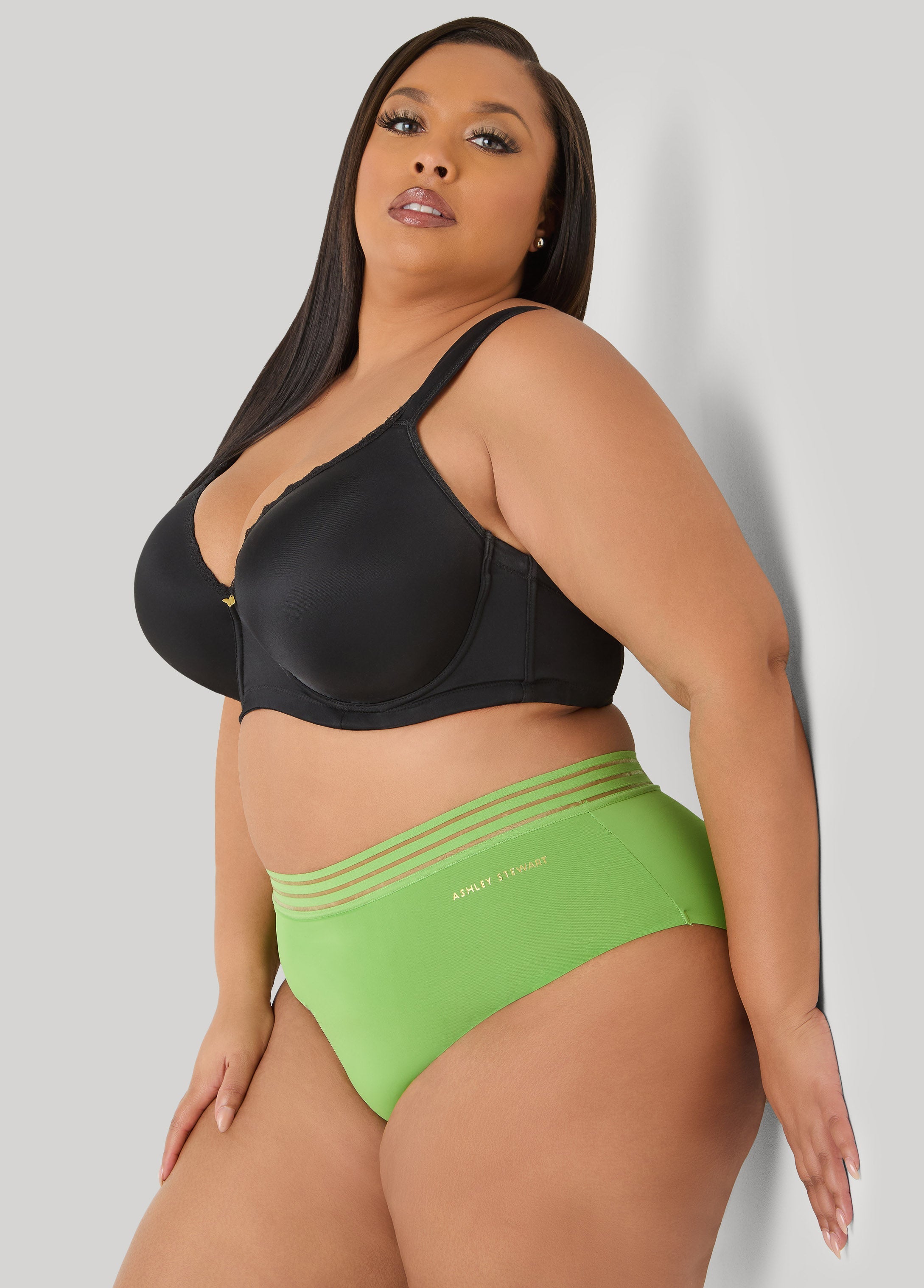 Sheer Waist Microfiber Briefs