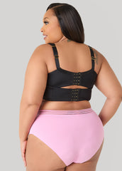 Sheer Waist Microfiber Briefs